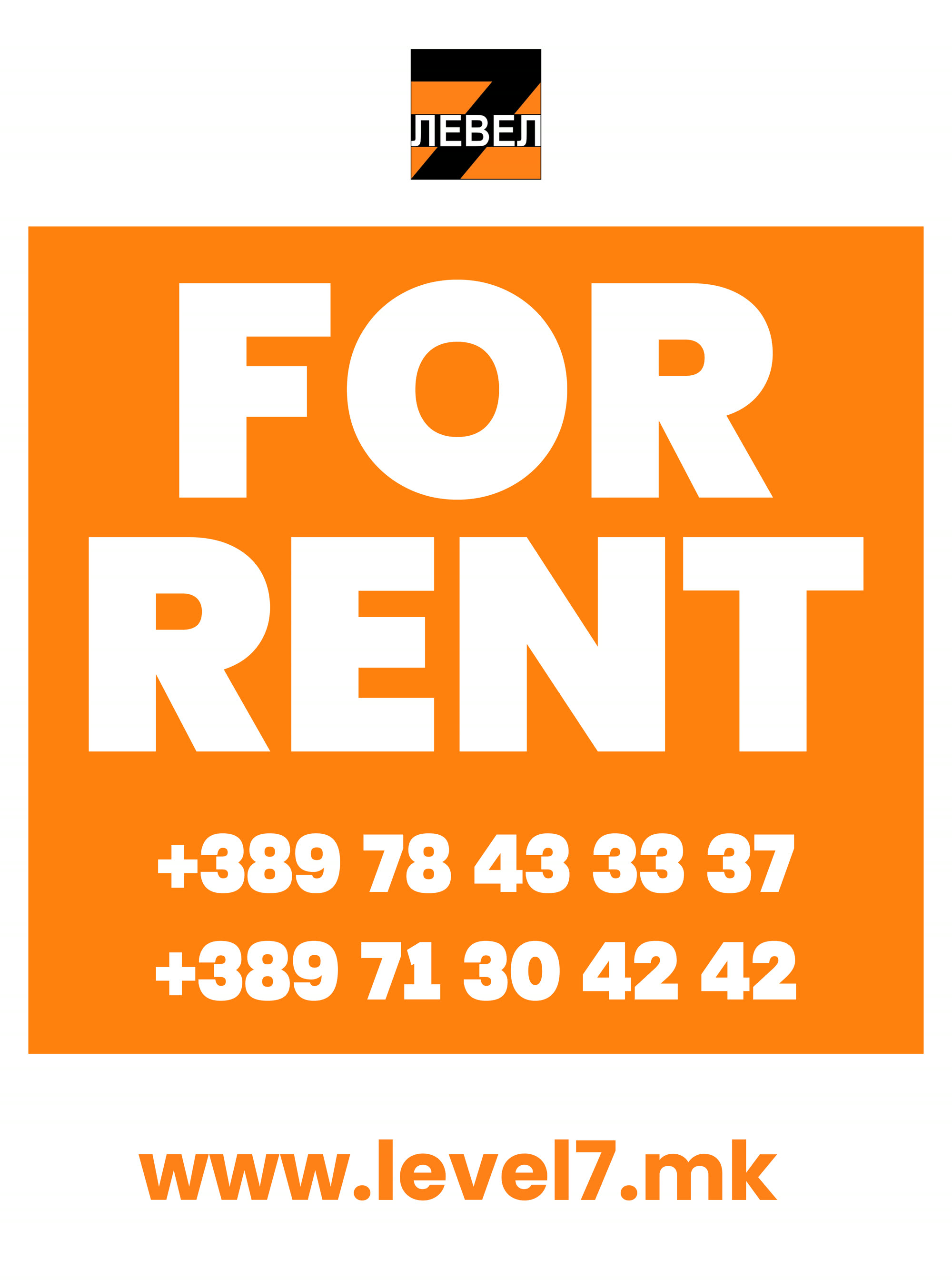 Level 7 Real Estate Flyer Simple