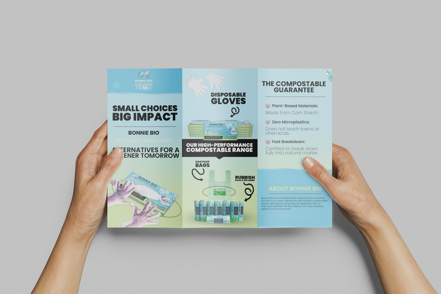 Brocure Side 1 Example Mockup