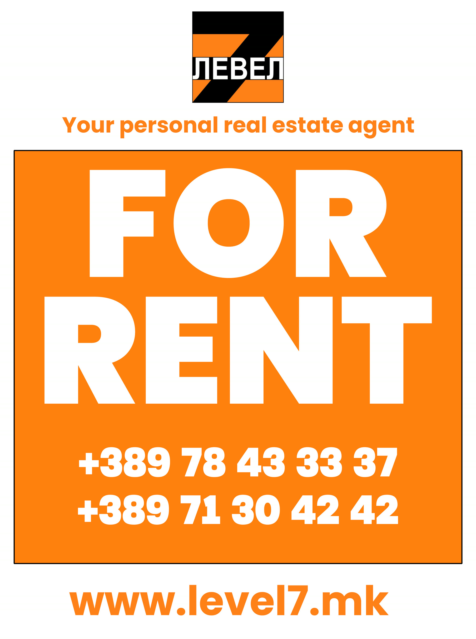 Level 7 Real Estate Flyer Simple