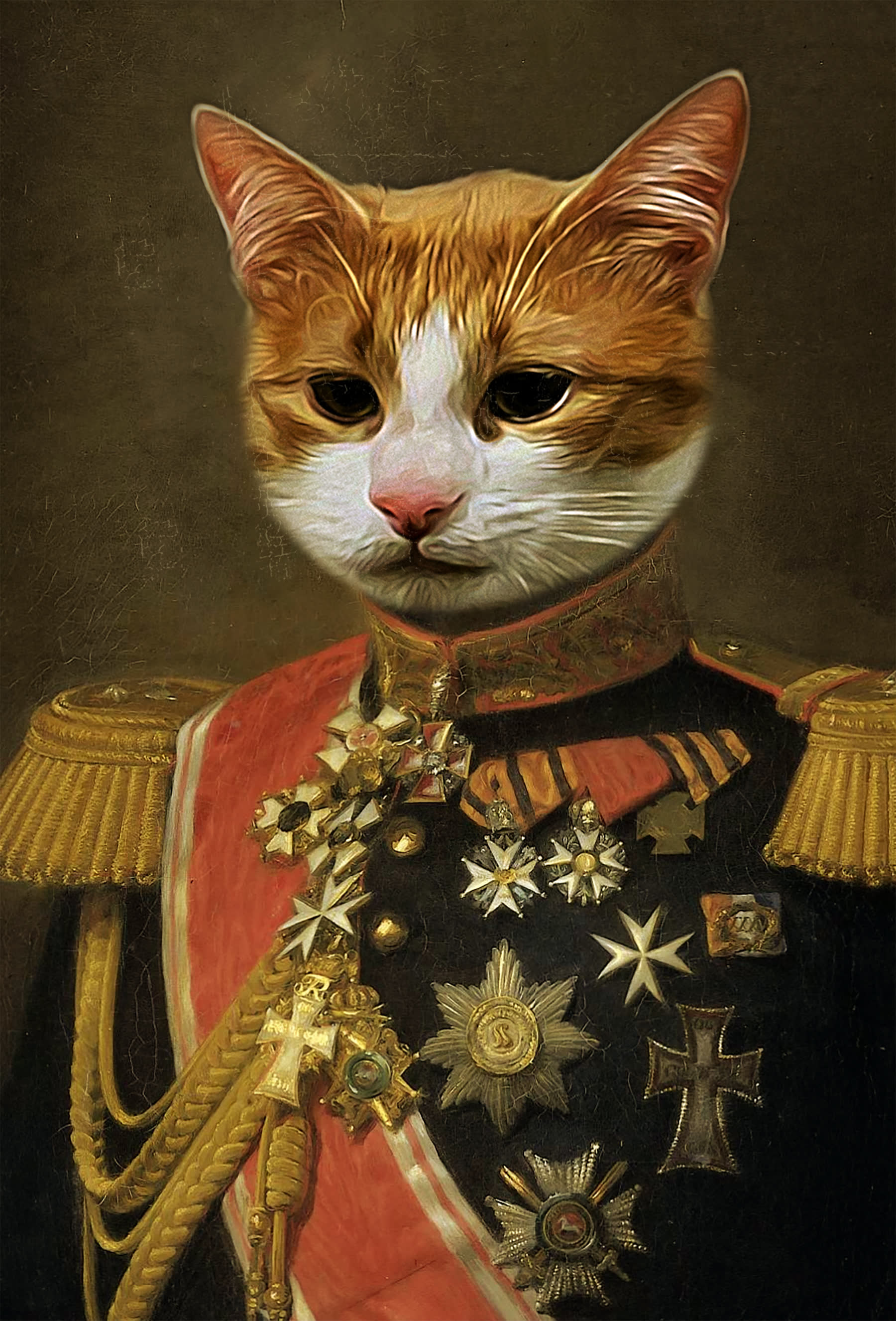 Cat Portrait