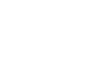 Night To Shine logo