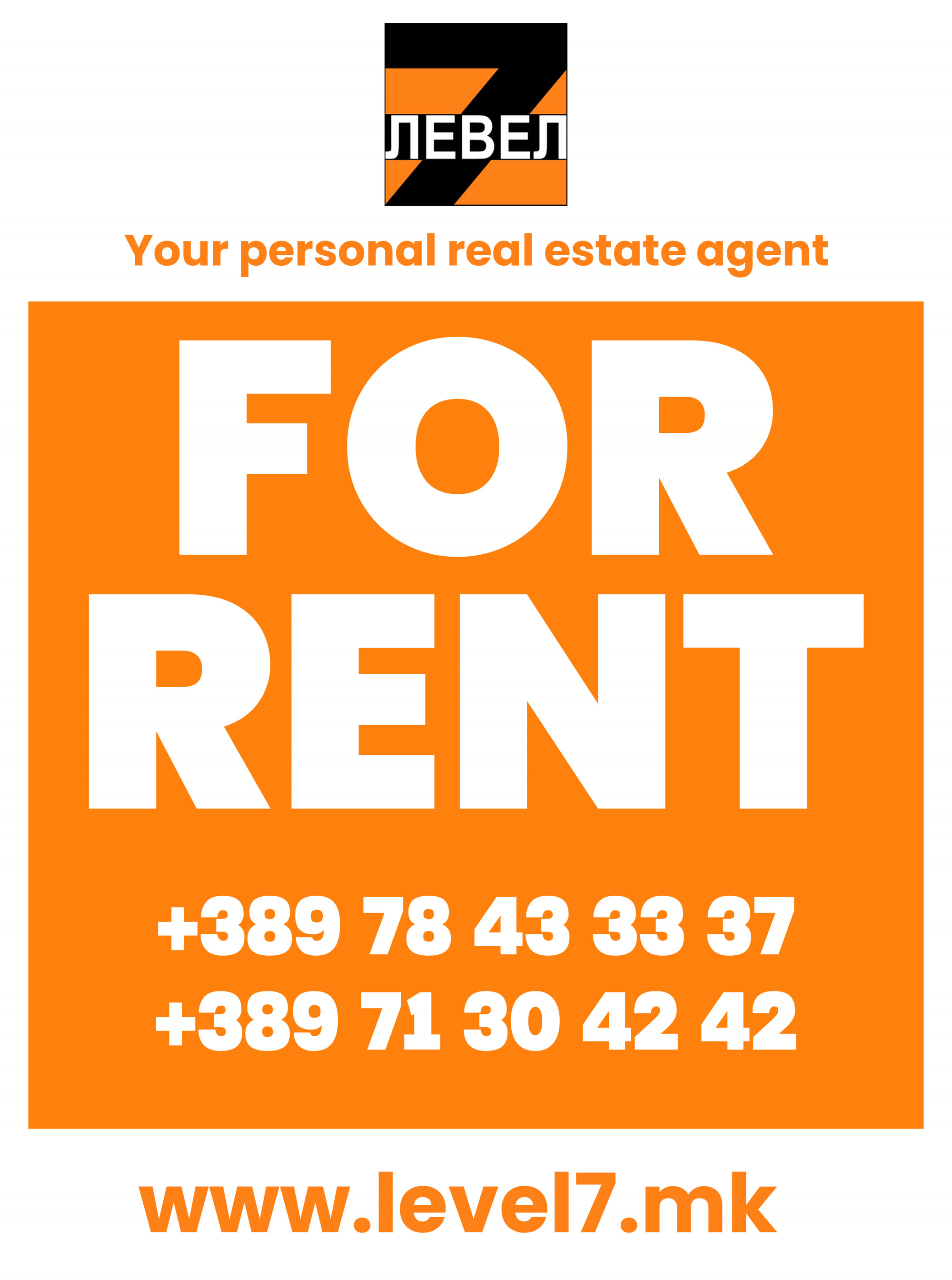 Level 7 Real Estate Flyer Simple